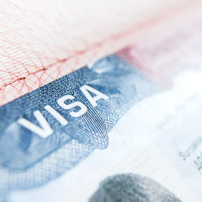 Professional visa assistance and documentation services for international travel