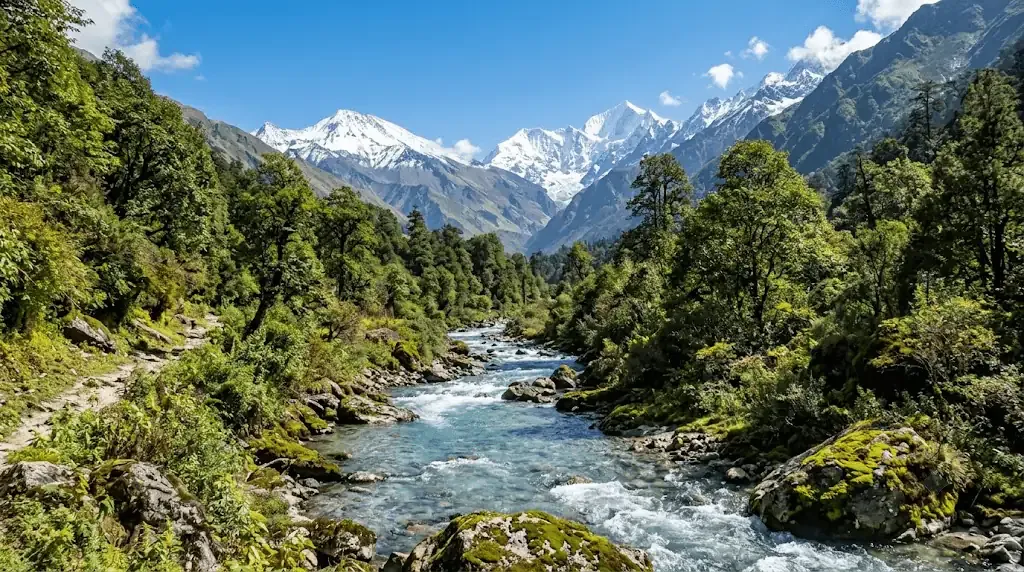 Beautiful landscape of Langtang National Park during the Langtang Valley Trek