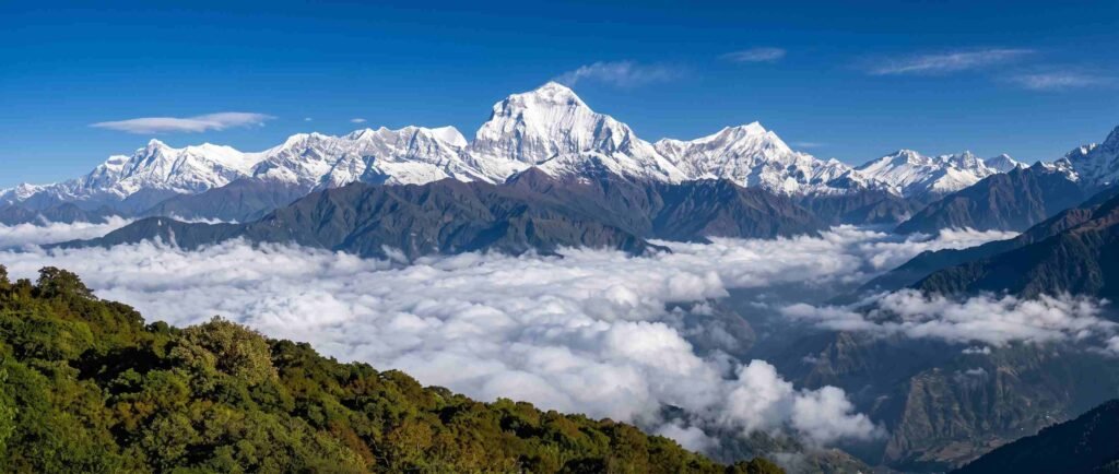 Breathtaking panoramic view of the massive Dhaulagiri and Annapurna mountain peaks in Nepal, soaring dramatically above a thick, rolling sea of clouds that fills the valley below.